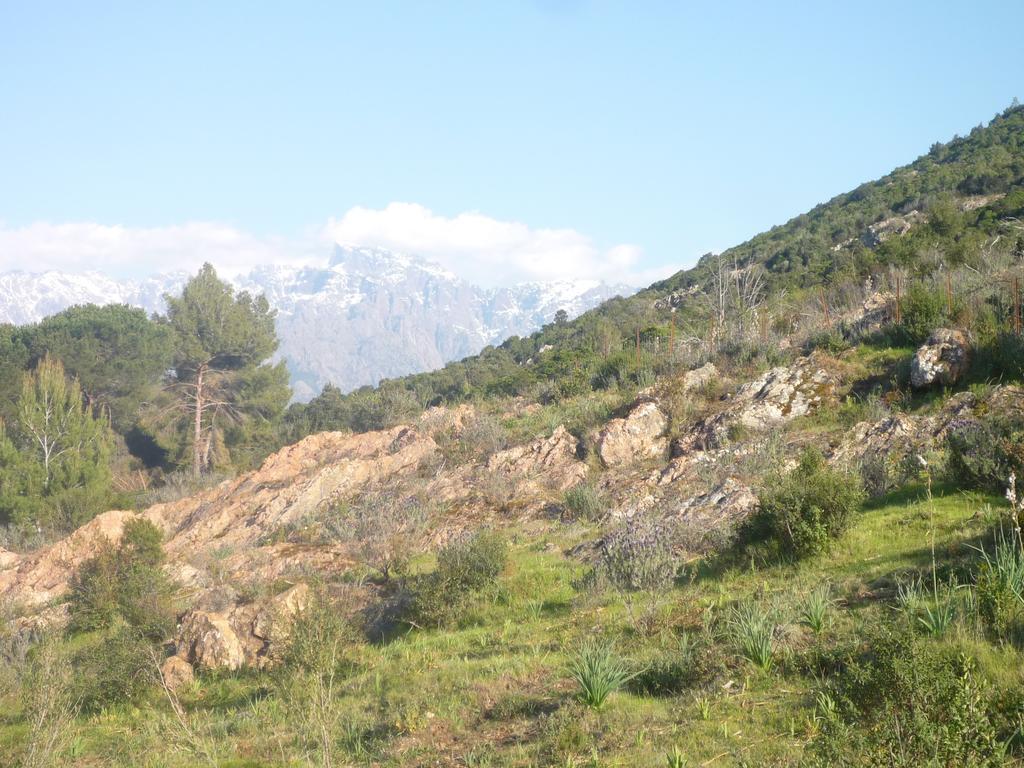 Appartements Candella Galeria  Δωμάτιο φωτογραφία